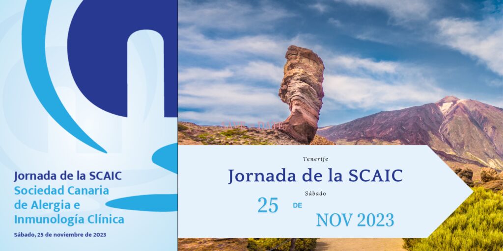 Jornada de la SCAIC 2023