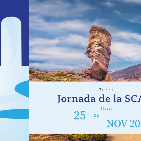 Jornada de la SCAIC 2023